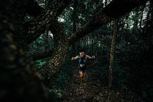 BIB: 
                            <button type="button" onclick="openModal(25683050)" class="btn btn-primary btn-sm float-right btn-popup" data-toggle="modal" data-target=".modal-high-quality">
                        <i class="fas fa-shopping-cart"></i> Add to Cart
                    </button>
                                            <button type="button" onclick="isThisMe(25683050, true)" class="btn btn-success btn-sm float-right btn-popup btn-isme hidden" data-toggle="tooltip" data-placement="bottom" title="นี่คือรูปของคุณใช่ไหม คลิกที่นี่เพื่อเอาเข้าอัลบั้ม">
                        <i class="fas fa-plus"></i> Add to album
                    </button>
                    <button type="button" onclick="isThisMe(25683050, false)" class="btn btn-warning btn-sm float-right btn-popup btn-isnotme hidden">
                        <i class="fas fa-ban"></i> Remove from album
                    </button>